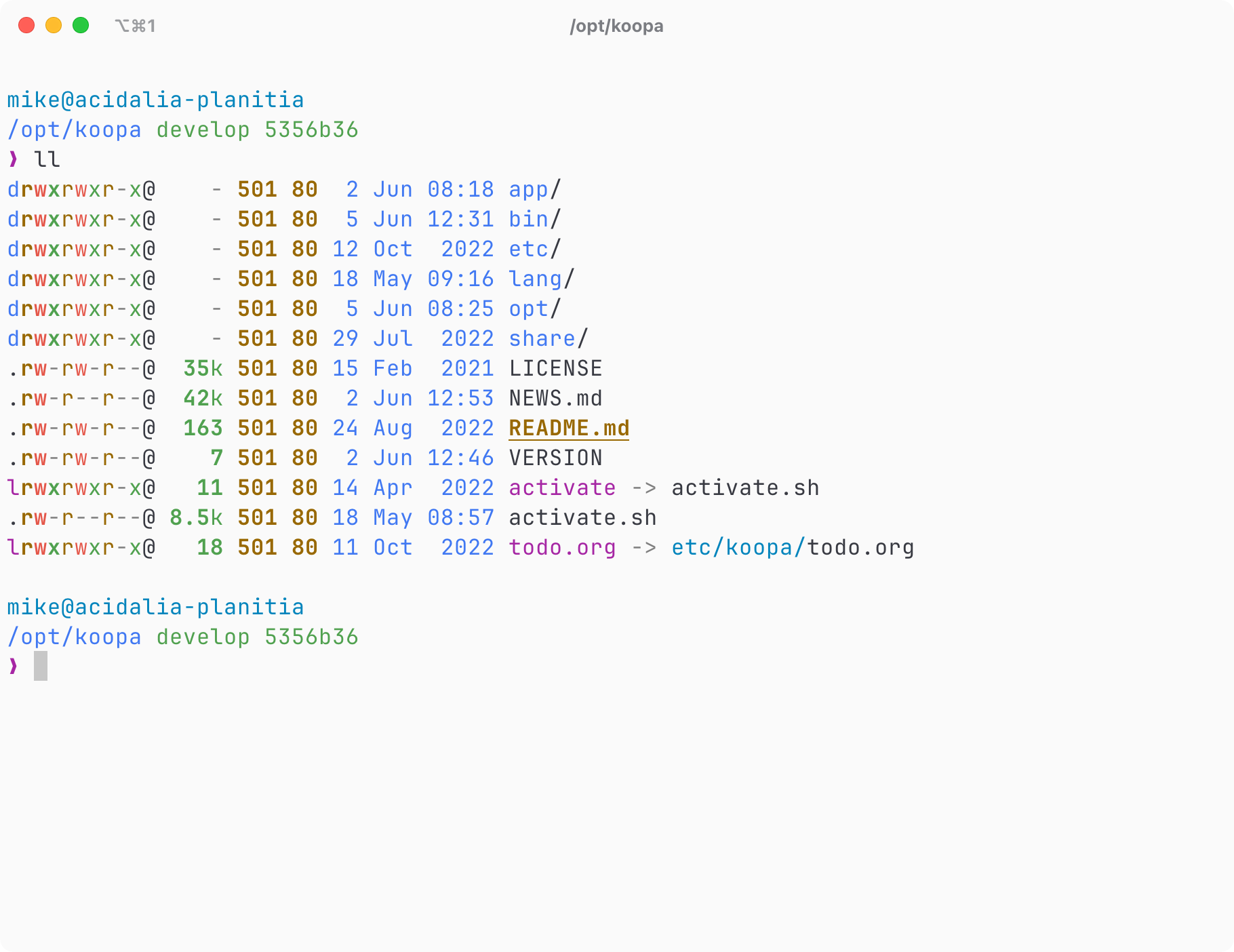 koopa terminal session